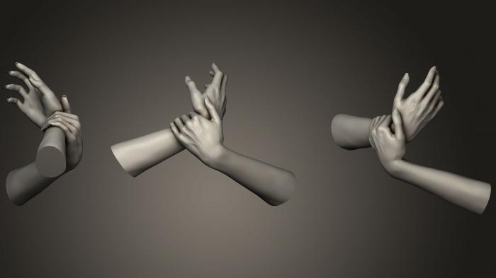 نموذج ثلاثي الأبعاد لآلة CNC تشريح الهياكل العظمية والجماجم أيدي النساء 15